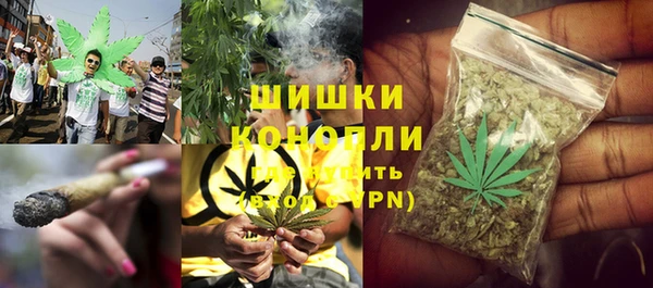 spice Надым
